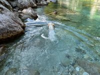 Slowenien 2021  - 65